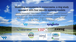 Featured image for “Aquatic Systems Models: A Virtual Mesocosm Could Be A Regulatory Tool of the Future”