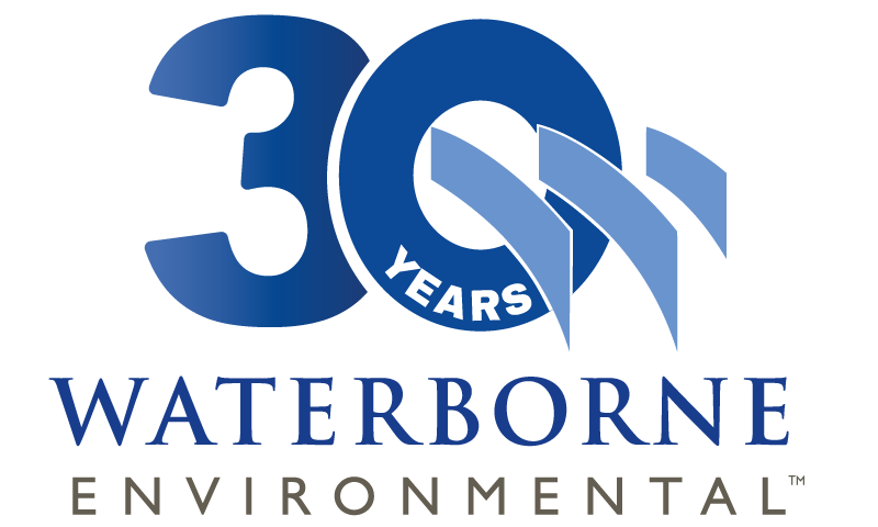 Featured image for “Comments from K. Balu on Waterborne’s 30th Anniversary”