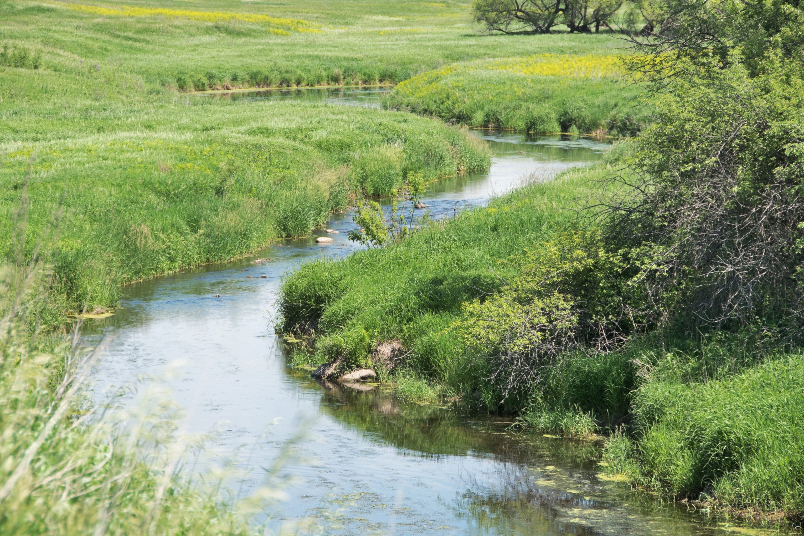 Featured image for “Mother Nature was right all along: re-meandering rivers improve habitats”